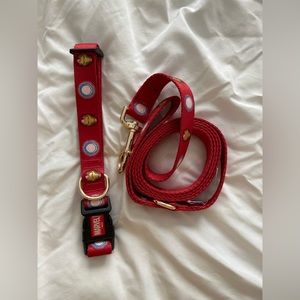 Dog Collar & Leash Set | Size L